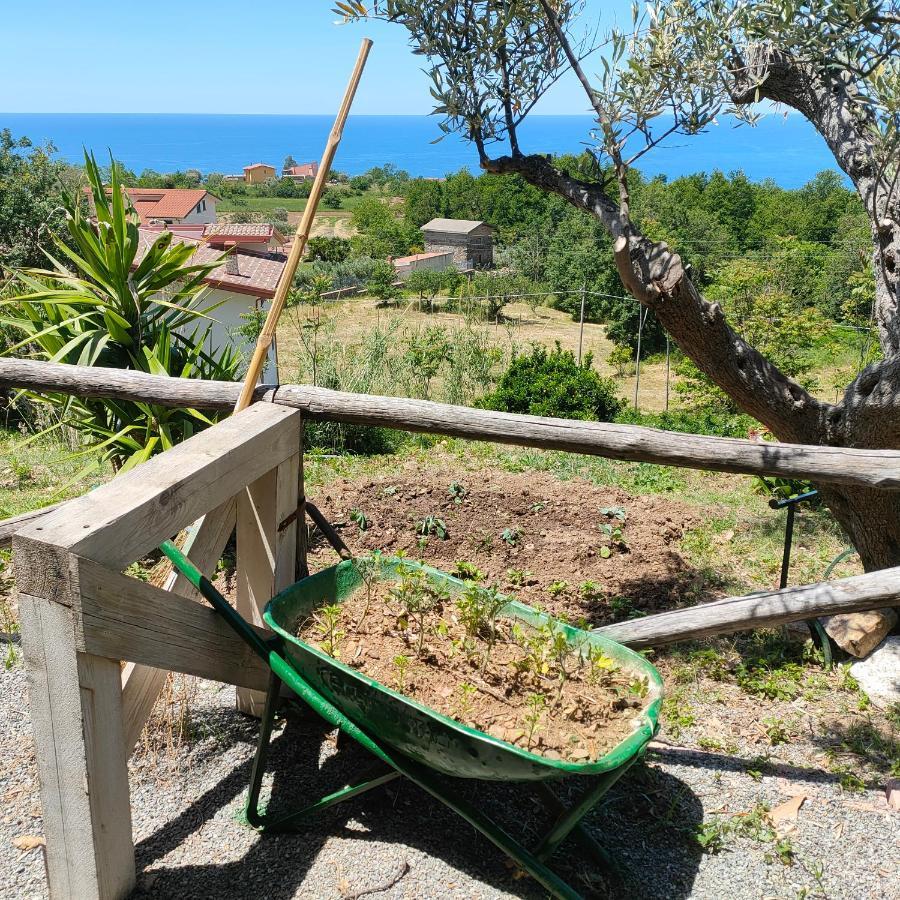 Agriturismo Agri Armonia San Lucido Exteriör bild