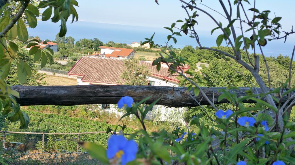Agriturismo Agri Armonia San Lucido Exteriör bild